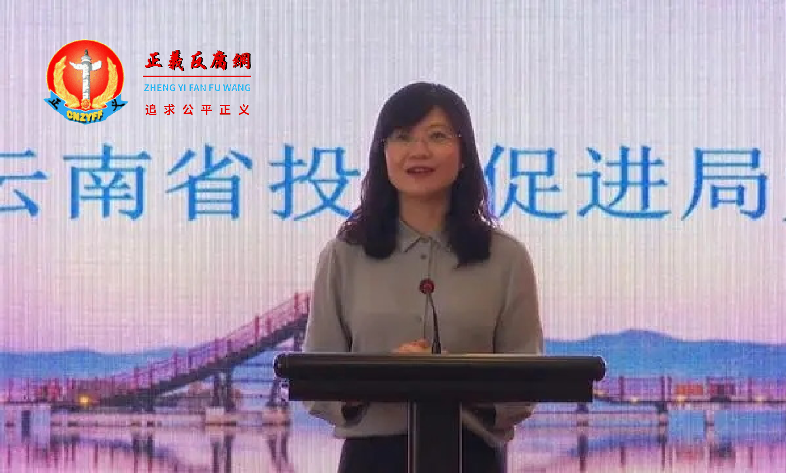 云南省异地商会助力县域经济发展合作交流会，云南省投资促进局原党组书记、局长段颖出席.png